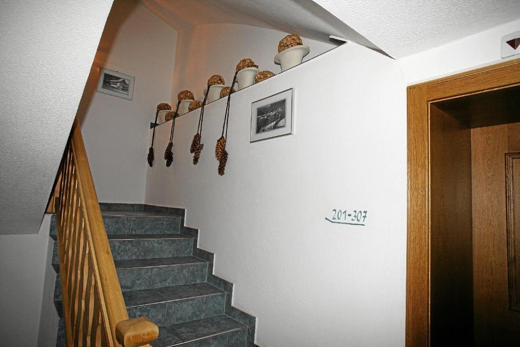 Wiese Sankt Leonhard im Pitztal