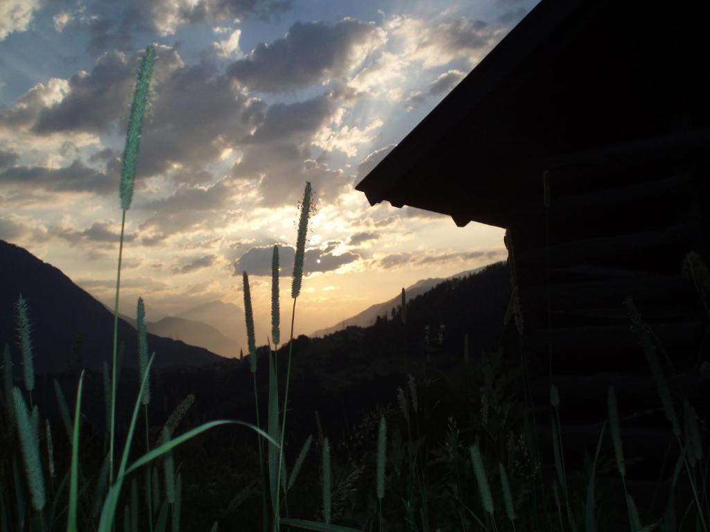 Wiese Sankt Leonhard im Pitztal